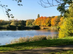 Things to Do Near Chester-le-Street